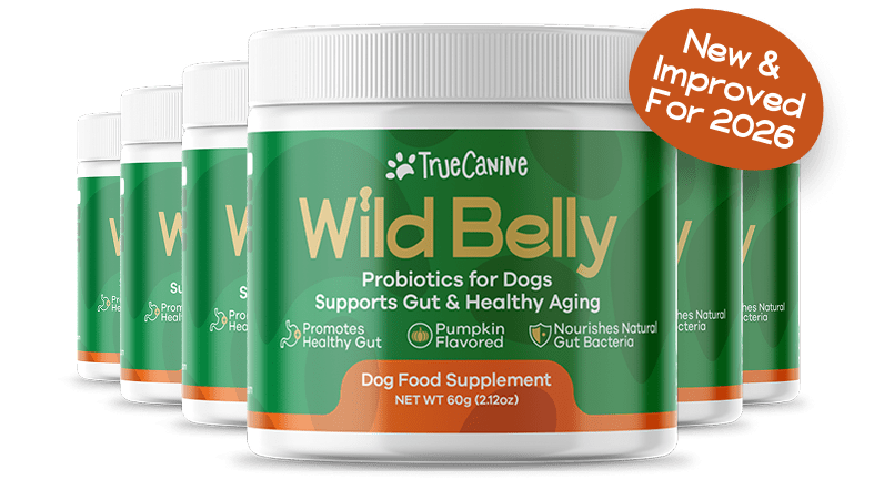 Wild Belly - Pack.
